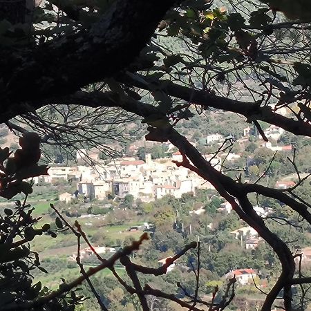 A L'Oree Des Oliviers Venterol (Drome) Exterior foto