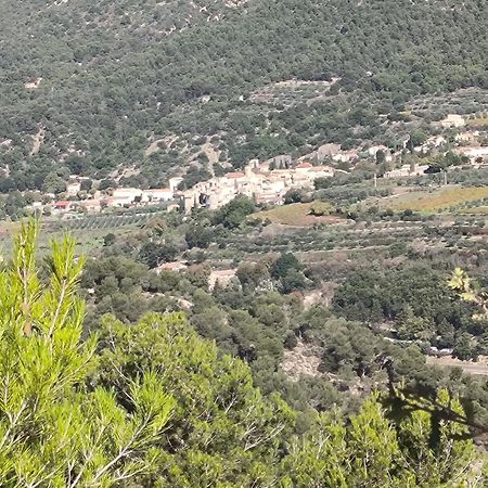 A L'Oree Des Oliviers Venterol (Drome) Exterior foto