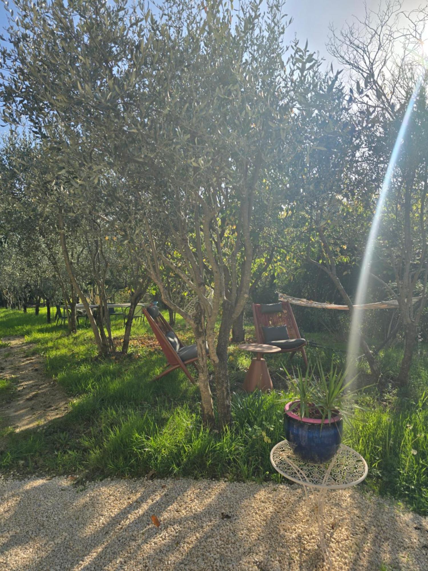 A L'Oree Des Oliviers Venterol (Drome) Exterior foto