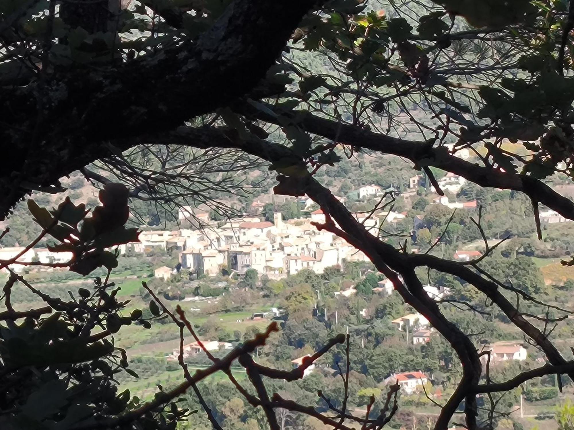 A L'Oree Des Oliviers Venterol (Drome) Exterior foto