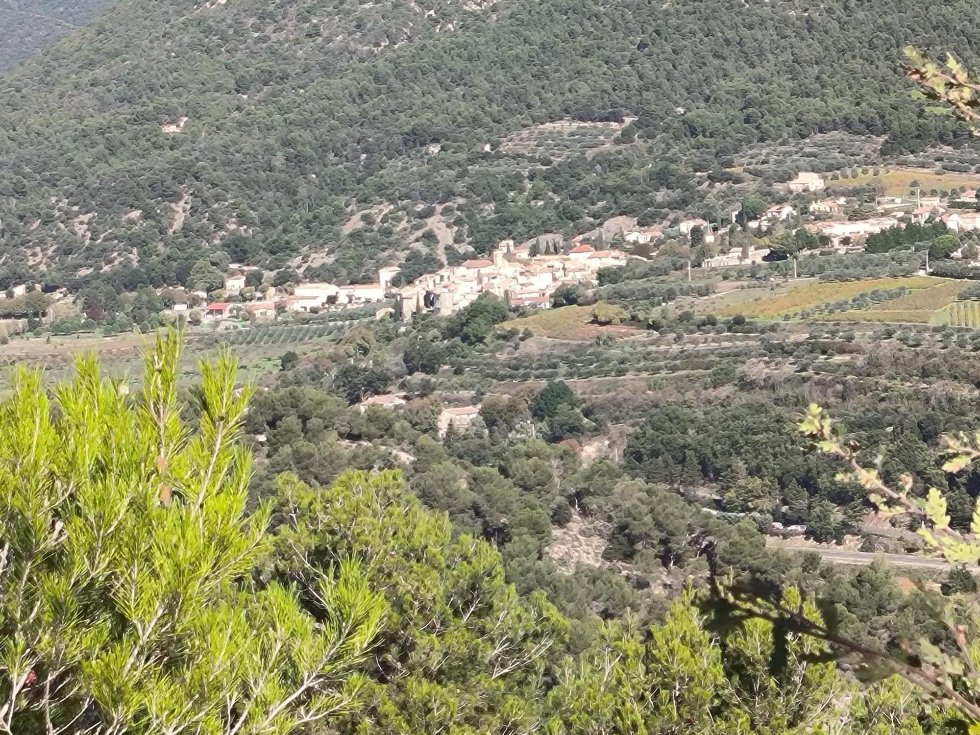 A L'Oree Des Oliviers Venterol (Drome) Exterior foto