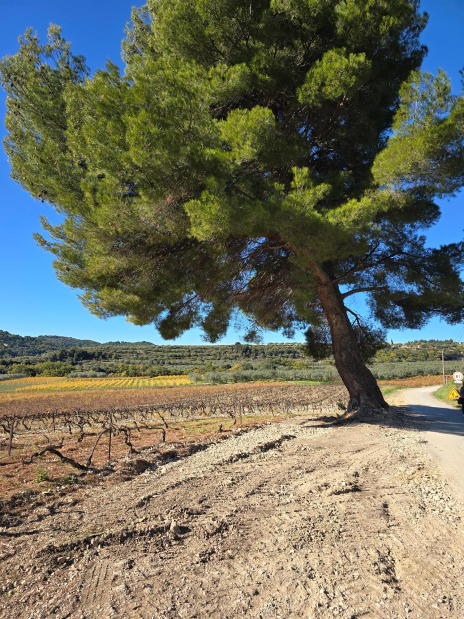 A L'Oree Des Oliviers Venterol (Drome) Exterior foto